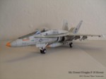 F-18 Hornet (03).JPG

74,12 KB 
1024 x 768 
09.05.2011
